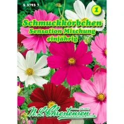 Saatgut Cosmos Sensations-Mischung, Für Ca. 40 Pflanzen