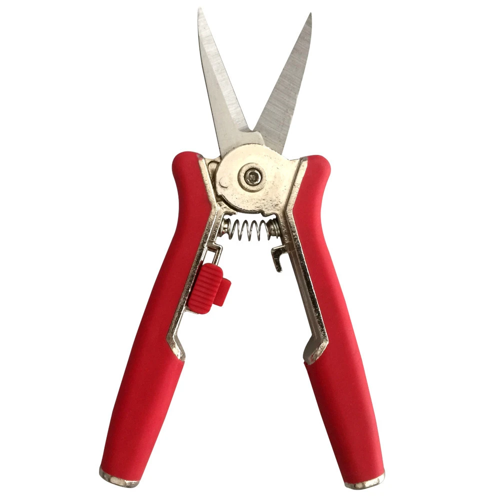 Sonder Preis Mini Edelstahl Gartenschere