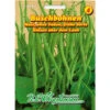 Buschbohnen Maxi Frühe Sorte Mit Hohen Ertrag