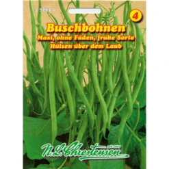 Buschbohnen Maxi Frühe Sorte Mit Hohen Ertrag