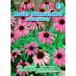 Saatgut Roter Sonnenhut Gewürzkraut Mehrjährig Für Ca. 40 Pflanzen