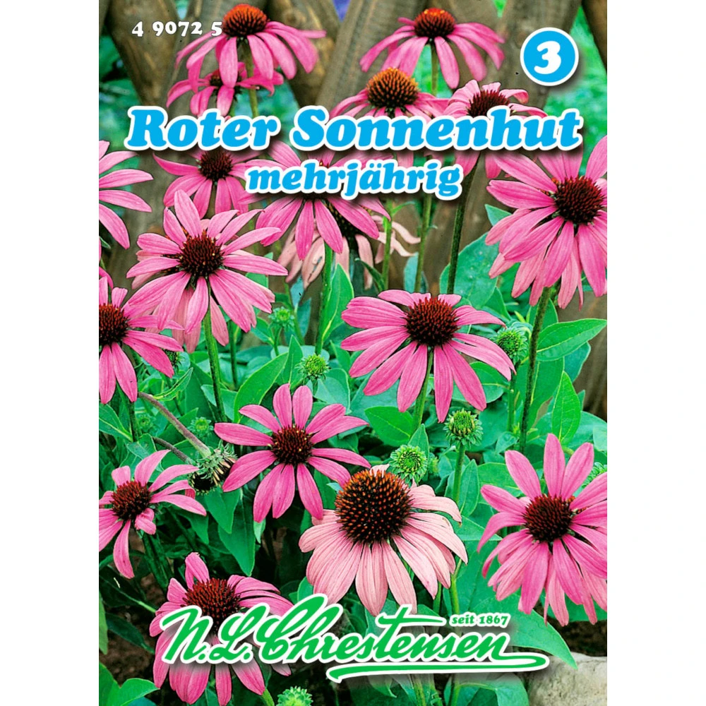 Saatgut Roter Sonnenhut Gewürzkraut Mehrjährig Für Ca. 40 Pflanzen