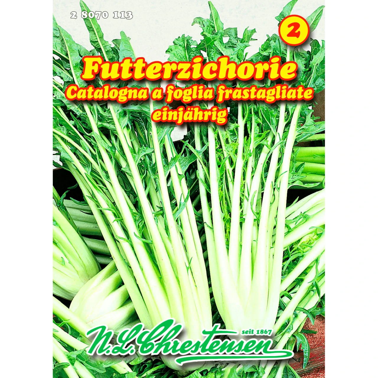 Saatgut Futterzichorie Passendes Kleintierfutter, Für Ca. 12 – 15 Laufende Meter