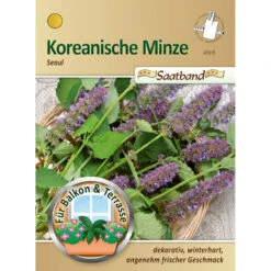 Saatgut Koreanische Minze, Ca. 2 Meter Saatband, Winterhart
