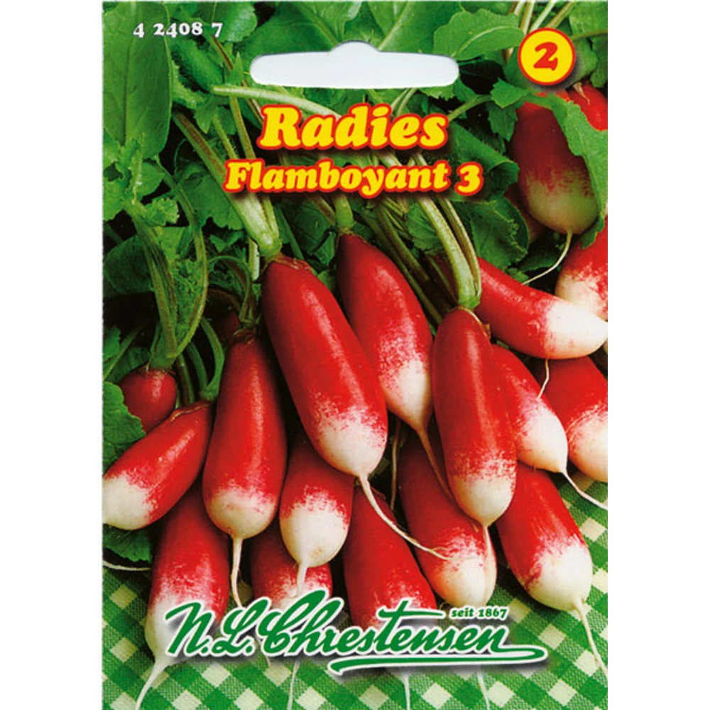 Radies Flamboyant Saatgut Für 6 Bis 8 Laufende Meter