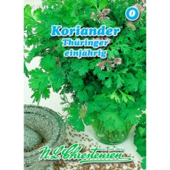 Saatgut Koriander Thüringer Gewürzkraut Einjährig Für Ca. 80 Pflanzen