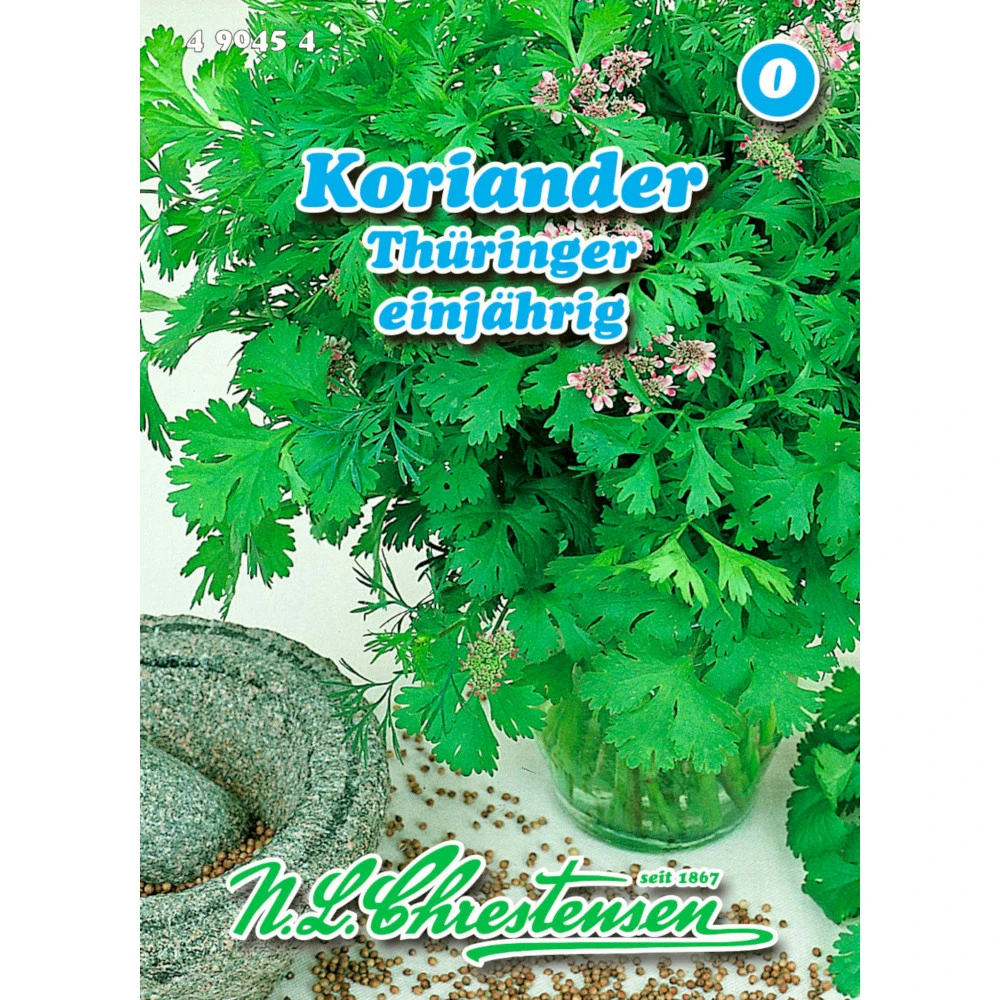 Saatgut Koriander Thüringer Gewürzkraut Einjährig Für Ca. 80 Pflanzen