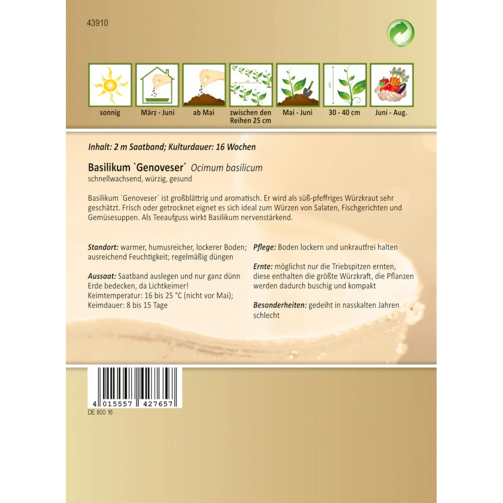 Saatgut Basilikum Genoveser, Ca. 2 Meter Saatband, Schnellwachsend Und Würzig - Image 2