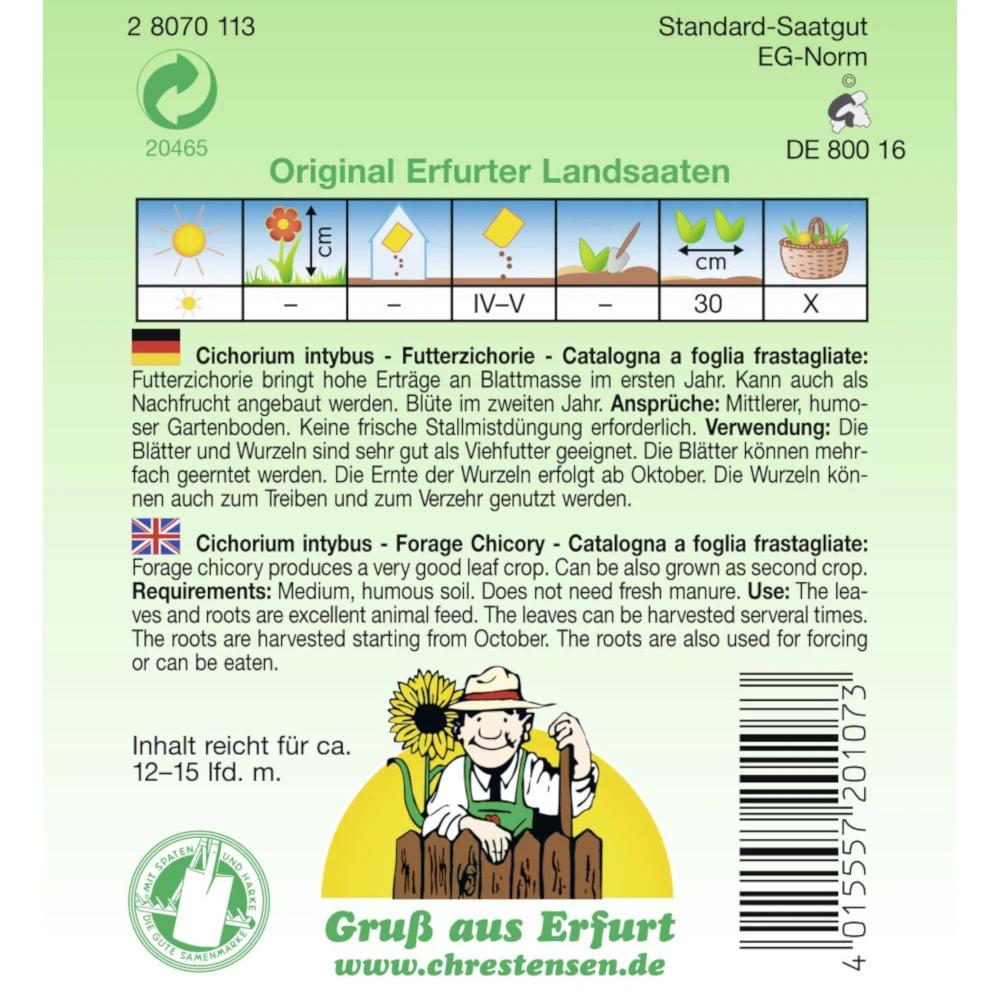 Saatgut Futterzichorie Passendes Kleintierfutter, Für Ca. 12 – 15 Laufende Meter - Image 2