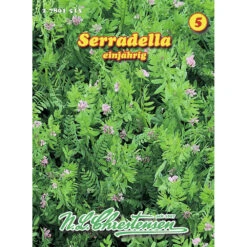 Saatgut Serradella Zur Gründüngung, Einjährig