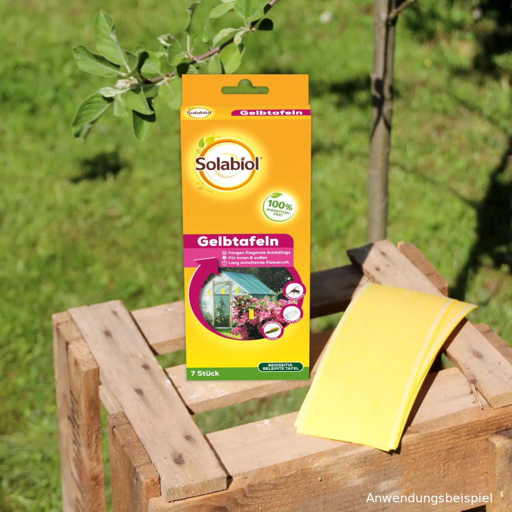 Solabiol Kombi Gelbtafeln 7 Stück - Image 2