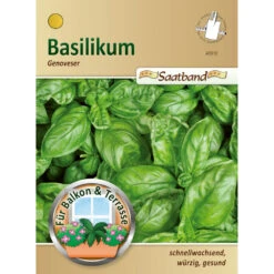 Saatgut Basilikum Genoveser, Ca. 2 Meter Saatband, Schnellwachsend Und Würzig