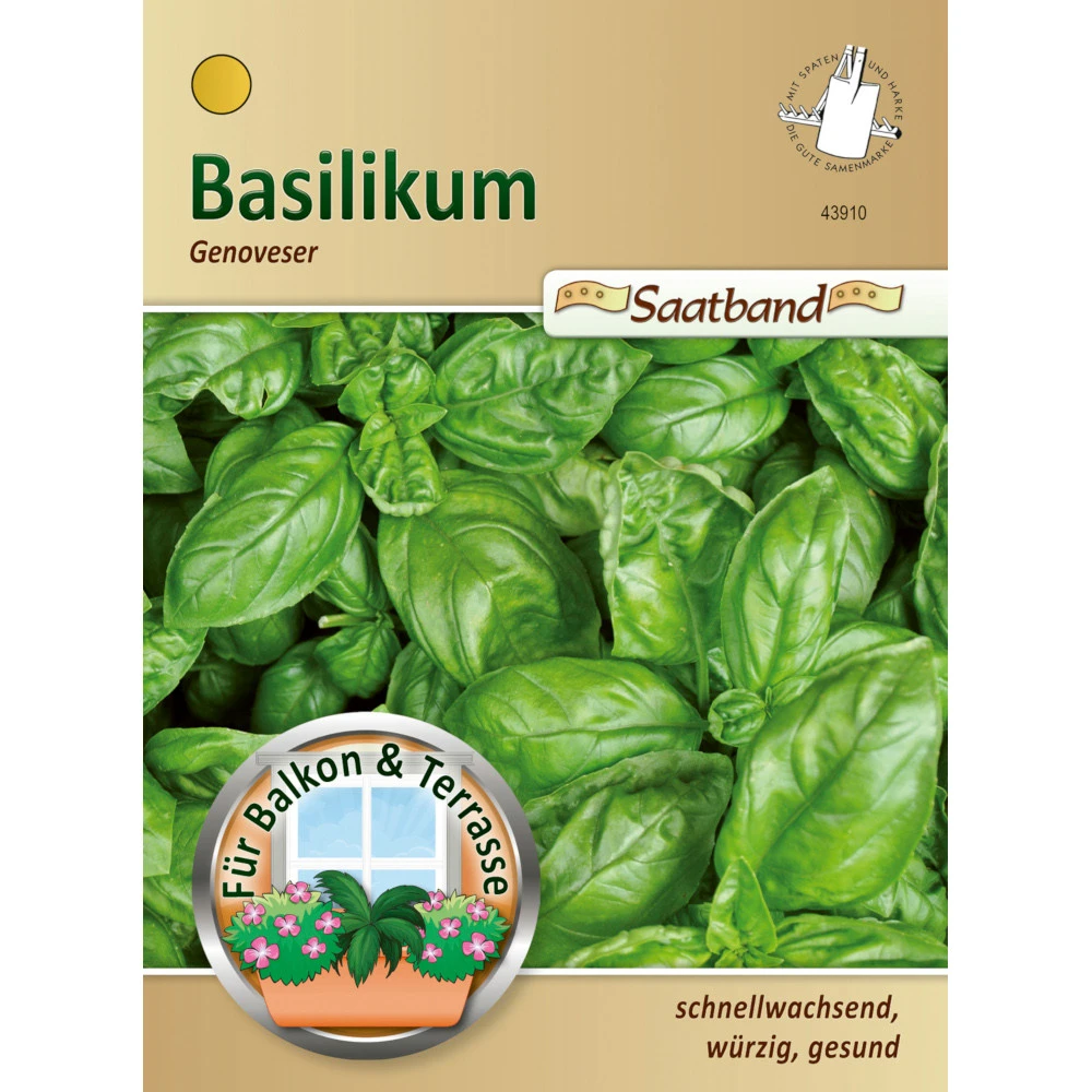 Saatgut Basilikum Genoveser, Ca. 2 Meter Saatband, Schnellwachsend Und Würzig