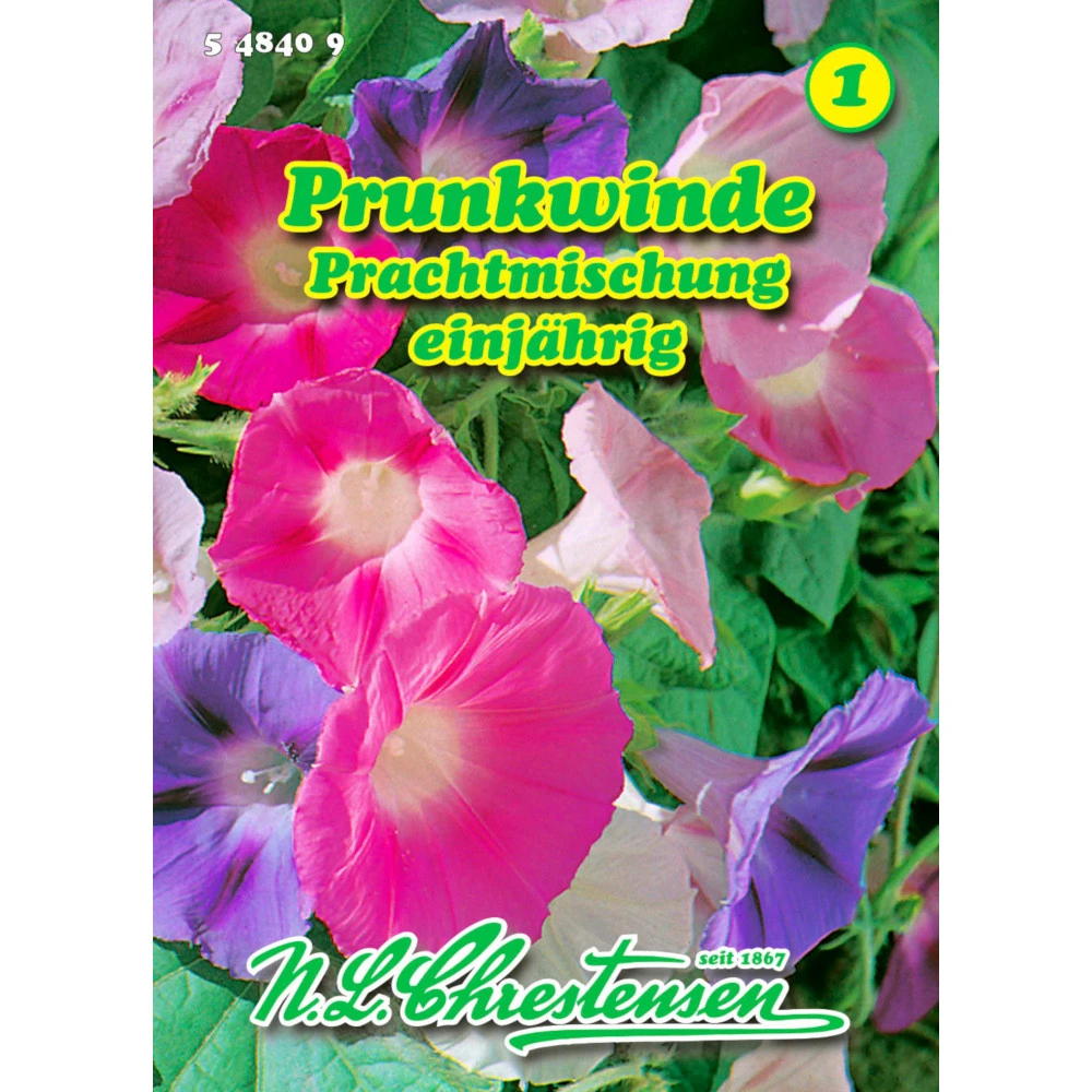 Saatgut Pharbitis Purpuea Prachtmischung, Für Ca. 20 Pflanzen