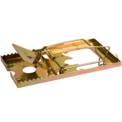 Rattenfalle Aus Metall