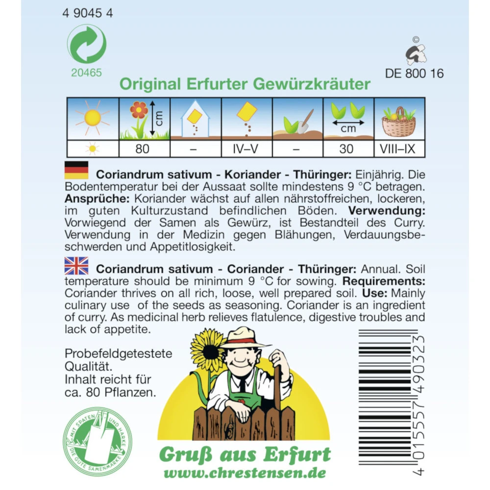 Saatgut Koriander Thüringer Gewürzkraut Einjährig Für Ca. 80 Pflanzen - Image 2