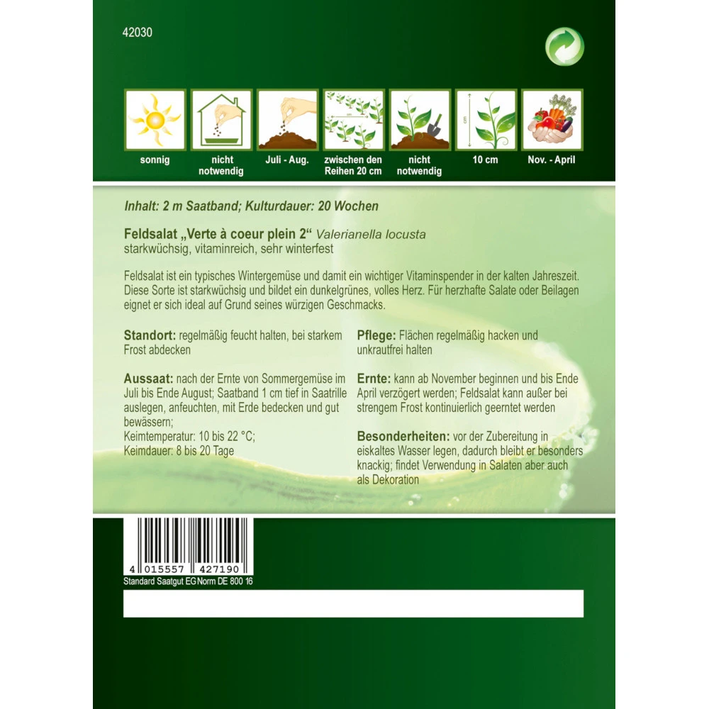 Saatgut Feldsalat Verte à Coeur Plein 2, Ca. 2 Meter Saatband, Sehr Winterfest - Image 2